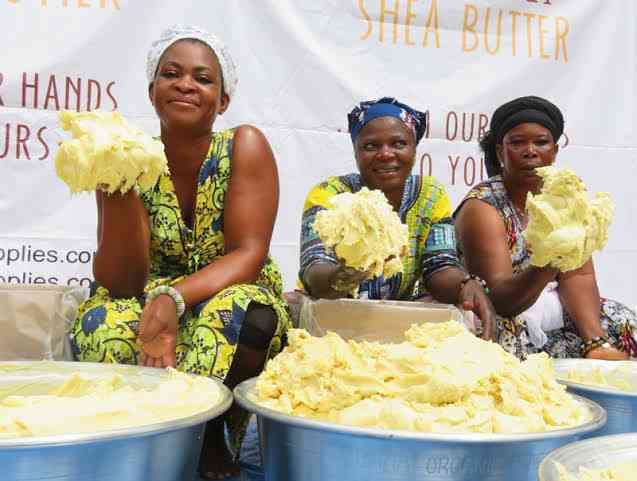 7 Hidden Benefits You Did Not Know About The Power of Shea Butter. - MirrorLog